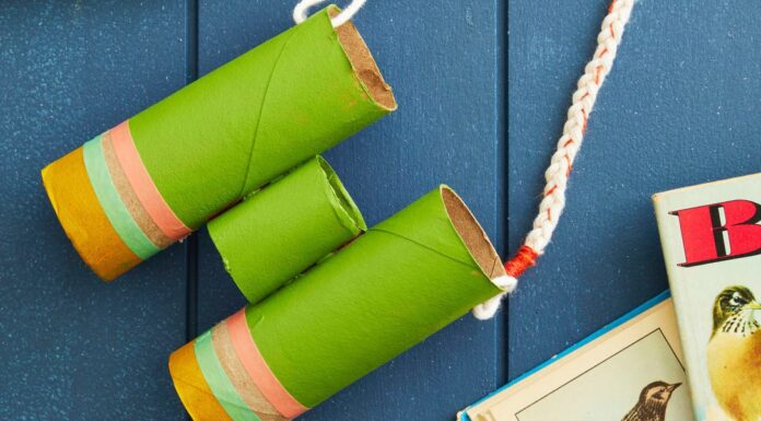 Make Cardboard Tube Binoculars