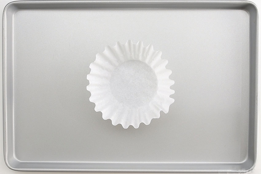 Coffee Filter Spider Webs
