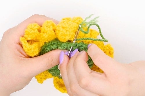 Crochet Sunflower