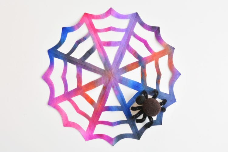 Coffee filter spiderwebs