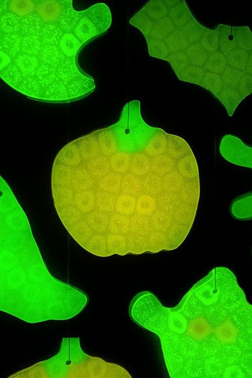 Halloween Crafts for Kids - Glow in the Dark Suncatchers