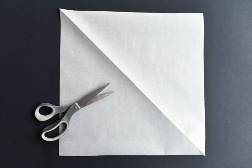 Paper Spiderweb