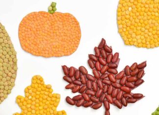 Fall Bean Mosaics Fall leaves and pumpkin mosaics made with dried beans