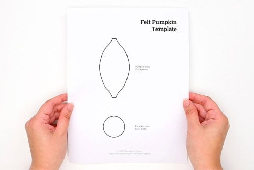 Felt Pumpkin Pattern