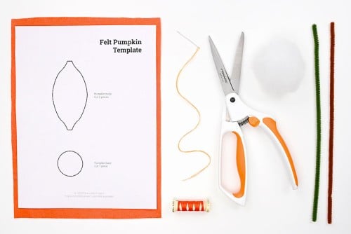 Felt Pumpkin Pattern