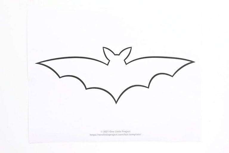 Flapping Bat Craft