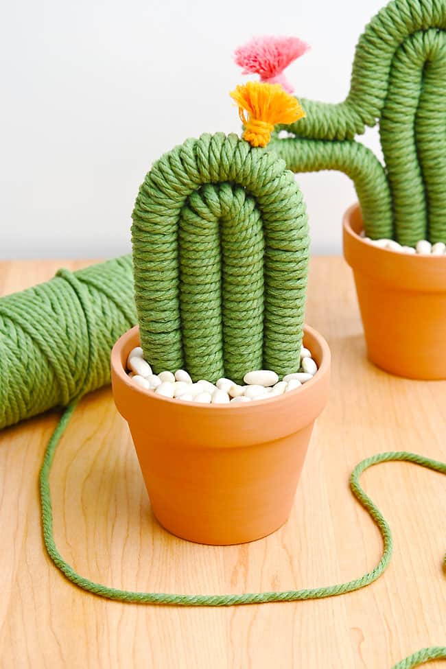 Free Cactus Macrame Pattern