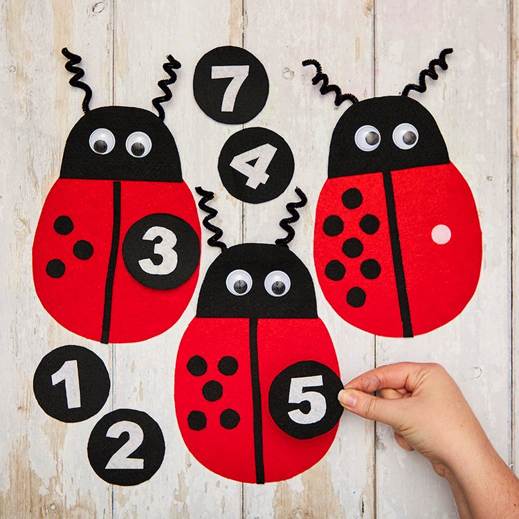 Ladybird Counting