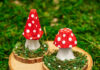 Egg Box Toadstools