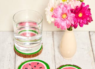 How to make Watermelon Wooden Coasters