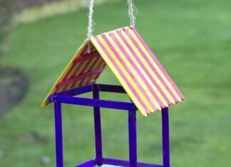 DIY Pop Stick Birdhouse Feeder: Fun and Easy Craft