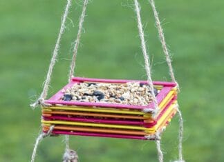 DIY Pop Stick Bird Feeder: Attract Birds to Your Yard