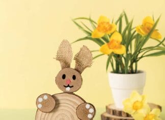 How to make Log Slice Bunny