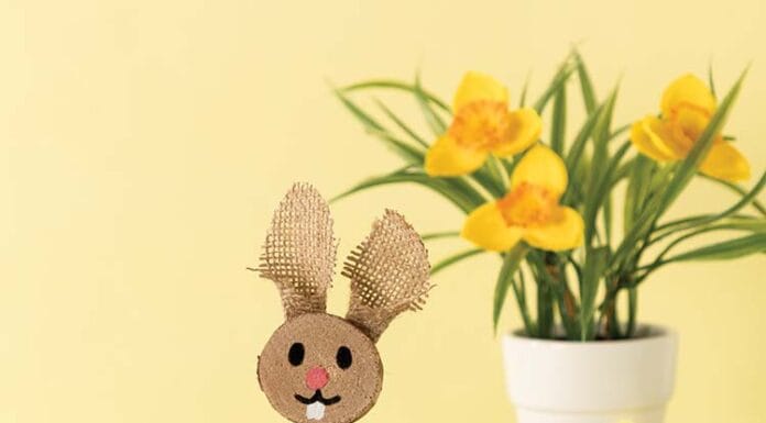 How to make Log Slice Bunny