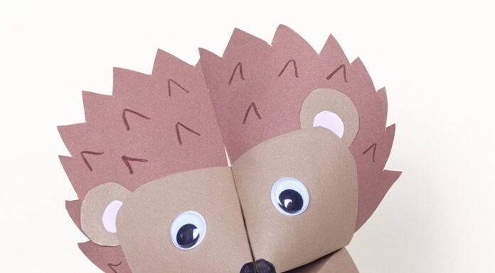 How to make Hedgehog Fortune Teller
