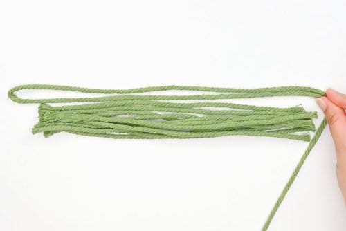 Macrame Cactus