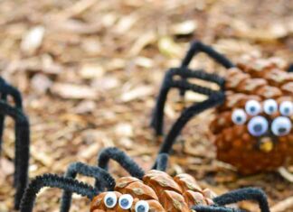 Pine Cone Spider Craft Pine cone spider with pipe cleaner legs and googly eyes