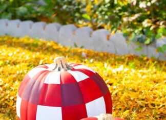 Painted Buffalo Plaid Pumpkin Painted buffalo plaid pumpkins sitting outside in autumn leaves