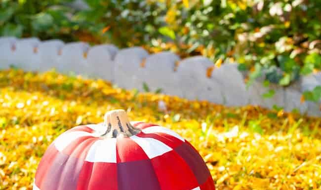 Painted Buffalo Plaid Pumpkin Painted buffalo plaid pumpkins sitting outside in autumn leaves