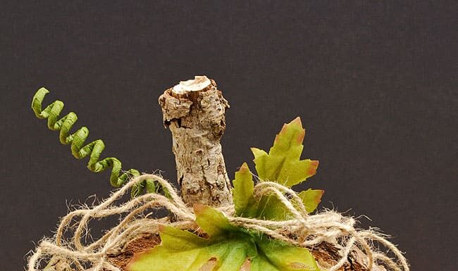 Wood Slice Pumpkins Fall decorated wood slice pumpkin