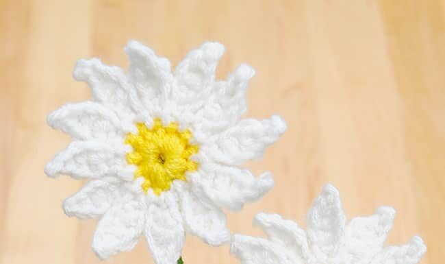 How to Crochet a Daisy: Easy Flower Pattern Easy crochet daisy made with a free, printable pattern