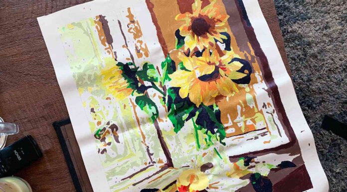 Colour Talk DIY Oil Painting Kit Review: Best Paint-by-Numbers for Beginners