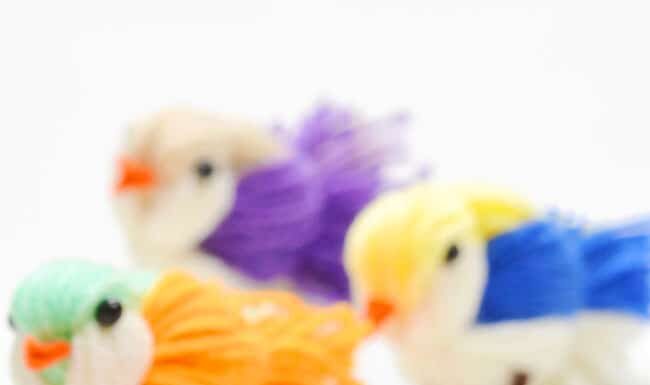 DIY Yarn Bird Craft: Easy Craft for Kids Group of DIY yarn birds on a white background