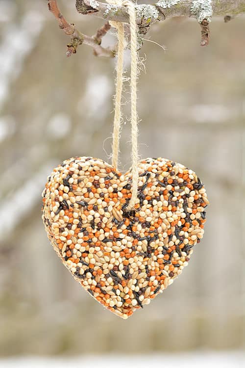 DIY Christmas Ornaments - Birdseed Ornament