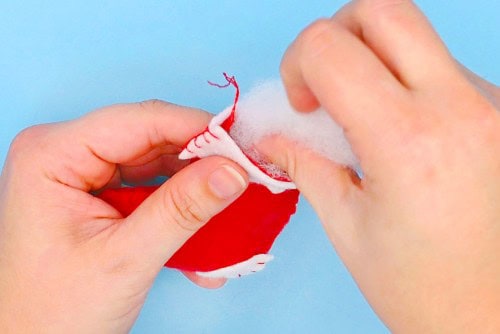 Felt Ornaments