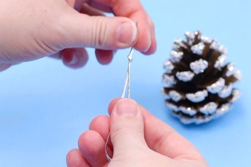 Frosted Pinecones