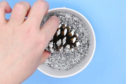 Frosted Pinecones