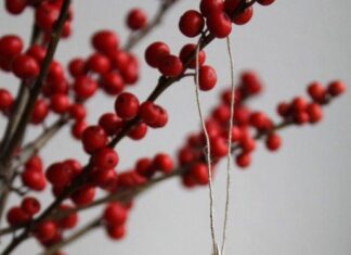 Pom Pom Christmas Photo Ornaments 38 Handmade Christmas Ornaments - Paper Star Ornament