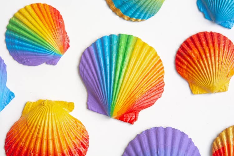 Seashell painting