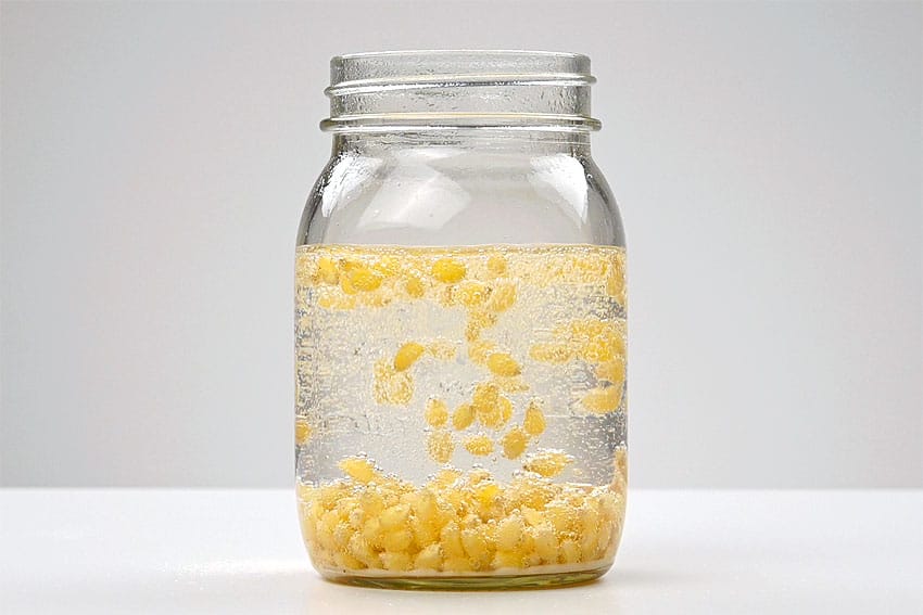 Dancing popcorn experiment