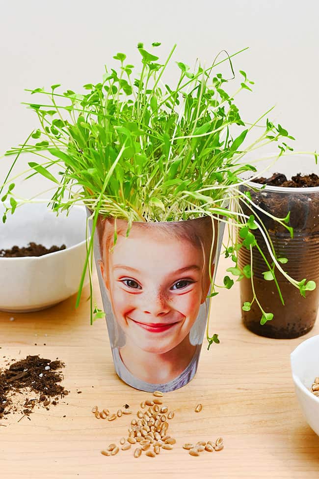 Grass Hair Photo Planter Photo planter with grass hair surrounded by supplies for making it