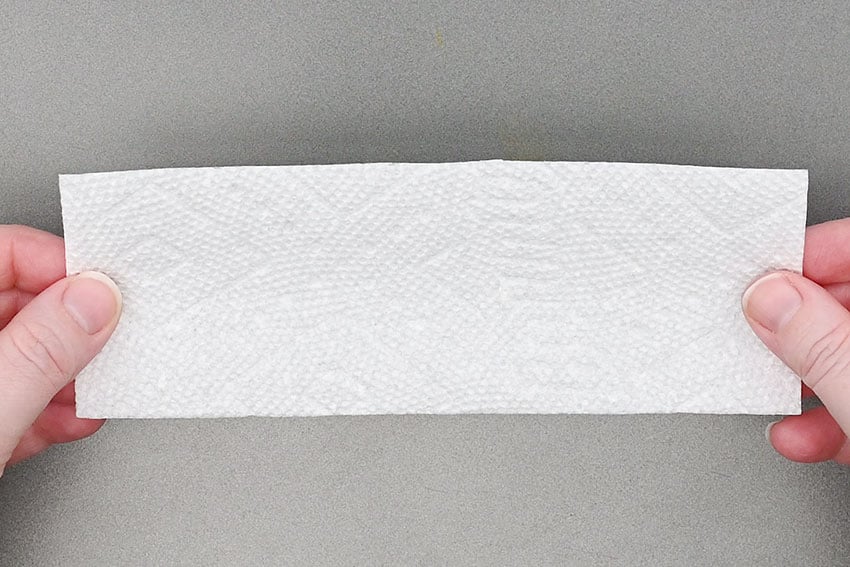 grow-a-rainbow-experiment-1 Grow a Rainbow Experiment