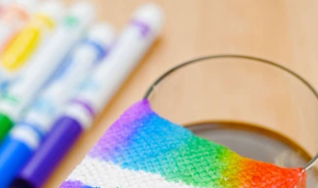 How to Make Rainbow Slime Rainbow growing up a paper towel