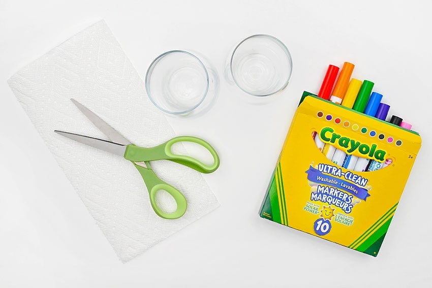 grow-a-rainbow-experiment-supplies Grow a Rainbow Experiment Supplies