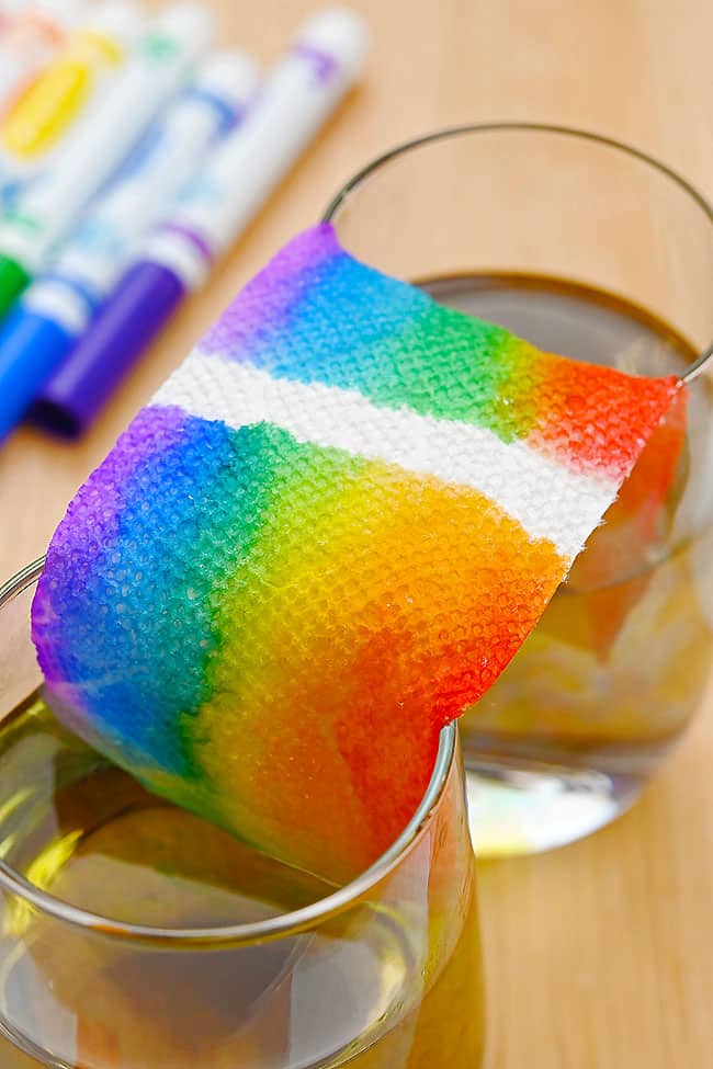 Grow a Rainbow Experiment Rainbow growing up a paper towel