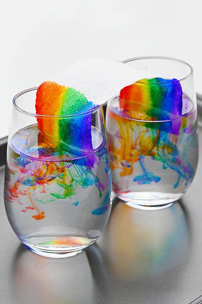 Grow a Rainbow Marker colours traveling up paper towel and spreading in the water