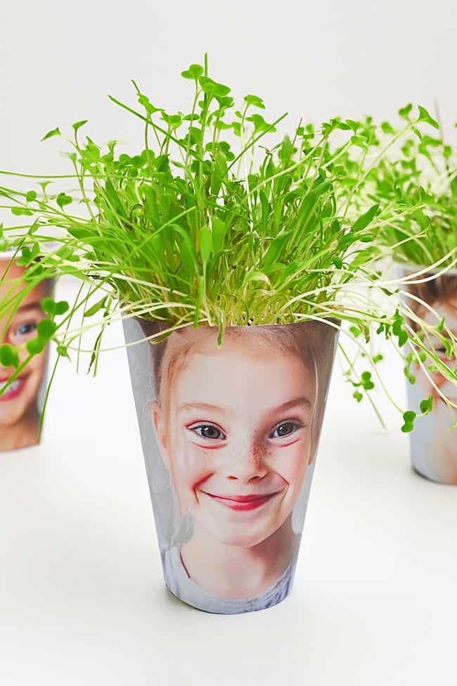 Grow Grass in a Cup 3 grass hair photo planters