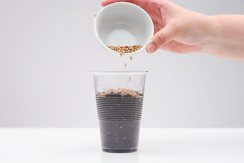 growing-grass-hair-4 Growing-Grass-Hair-4