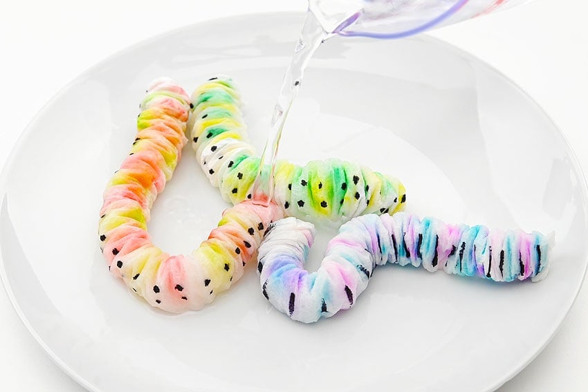 Paper Worm Paper worm experiment for kids
