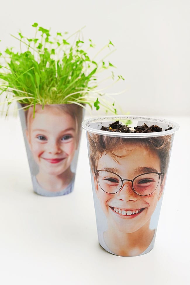 Photo Grass Heads 2 planters made from cups and photos