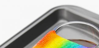 Grow a Rainbow Experiment | Growing a Rainbow STEM Activity Fully grown paper towel rainbow