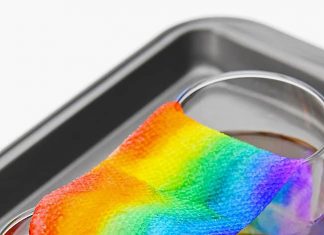 Grow a Rainbow Experiment | Growing a Rainbow STEM Activity Fully grown paper towel rainbow