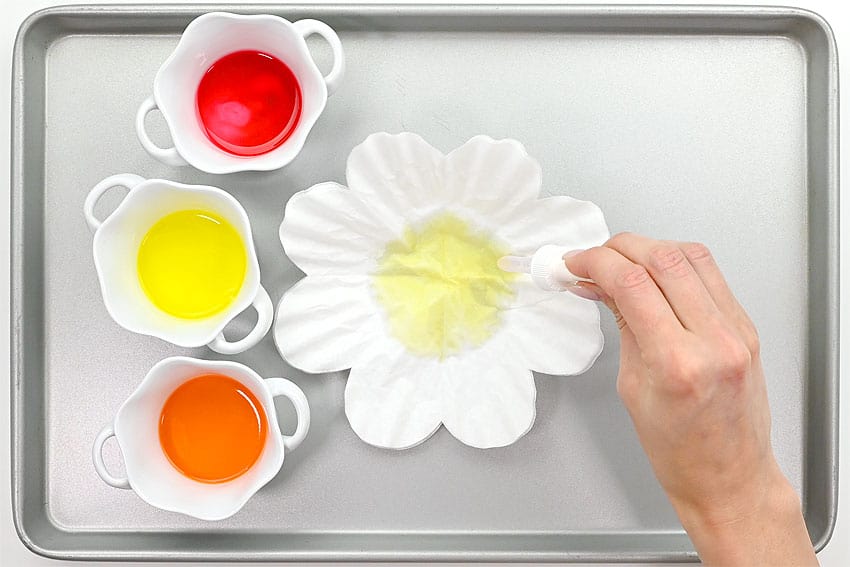 coffee filter flowers paper craft instruction image 7