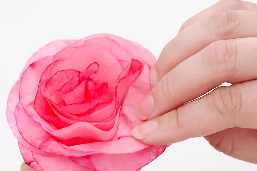 coffee filter roses ( flower ) paper craft instruction image 22