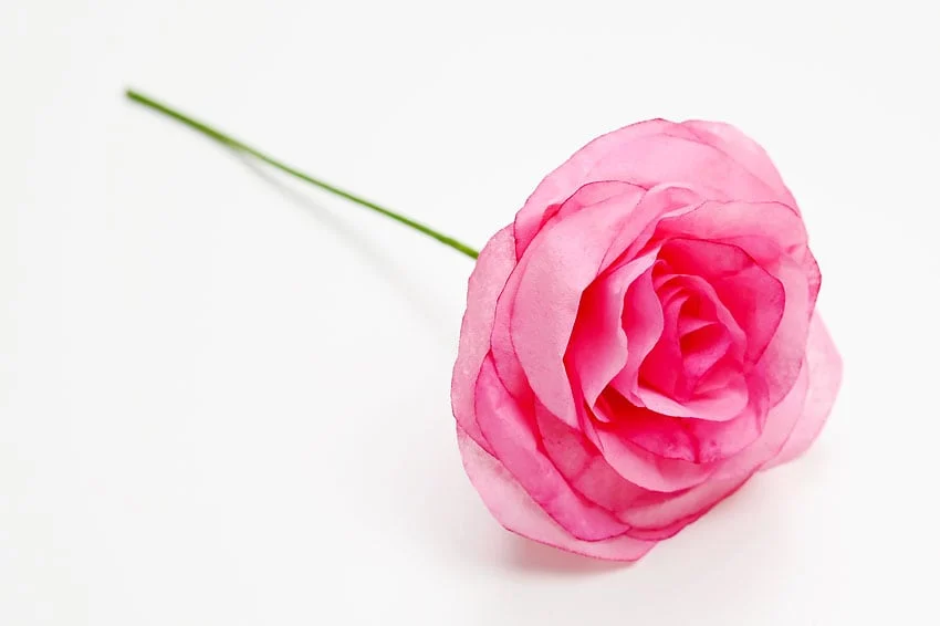 coffee filter roses ( flower ) paper craft instruction image 23
