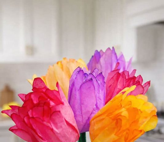 Easy Coffee Filter Tulips Tutorial for Kids coffee filter tulips paper craft step 1 - How to Make Coffee Filter Tulips